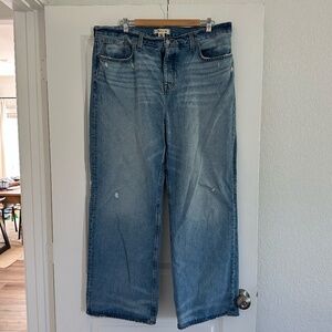 Madewell Low Slung Baggy Jeans in Hamburg Wash Size 32